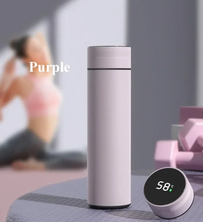 500ML Temperature Display Thermos Cup Stainless